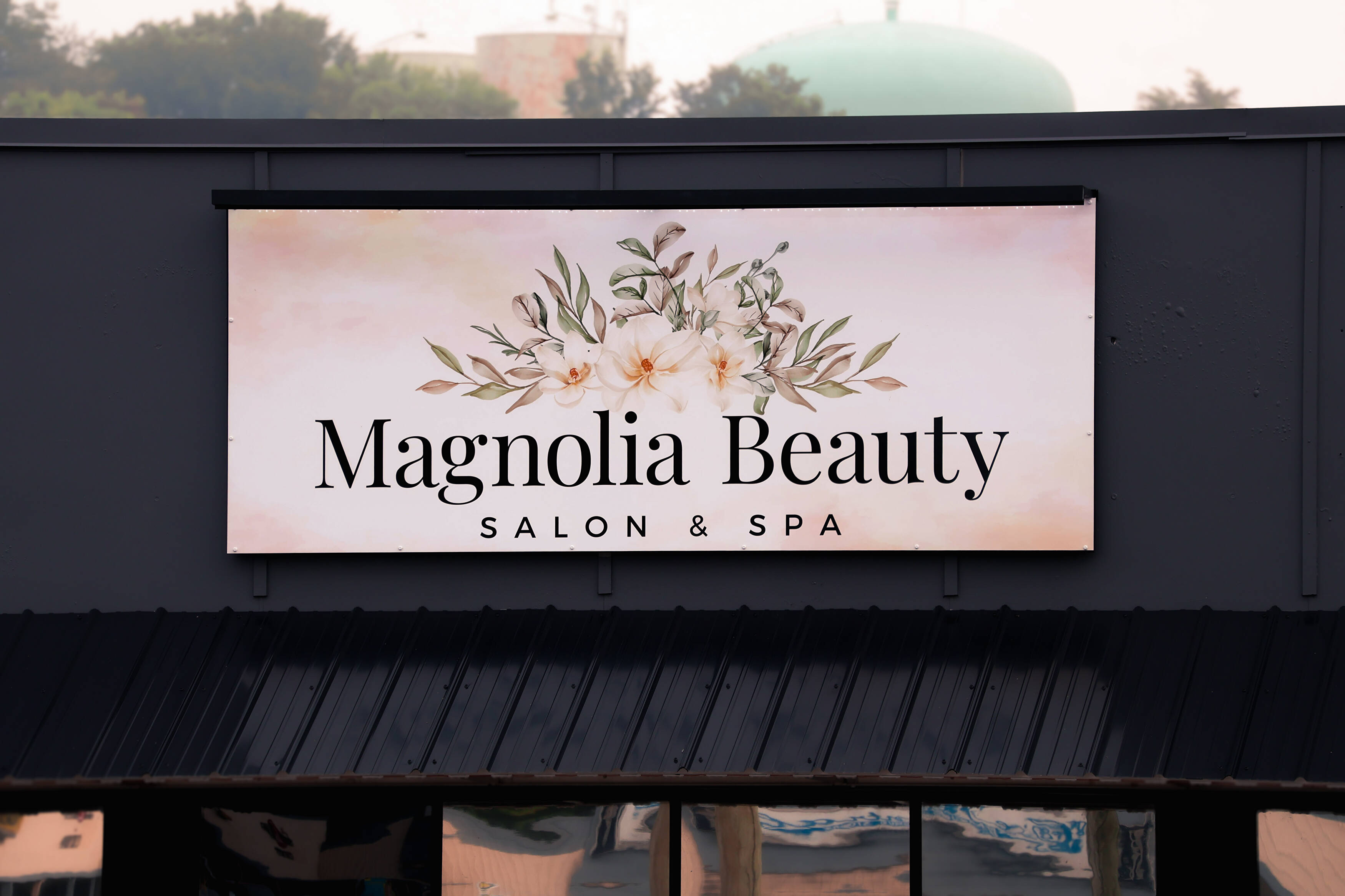 Magnolia Beauty